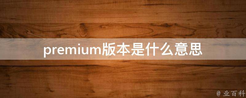 版本是什么意思