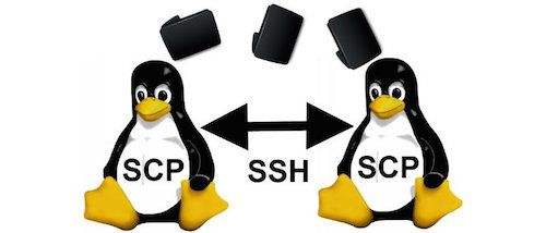 scp协议