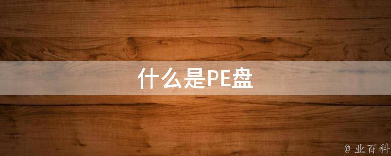 pe盘是什么意思