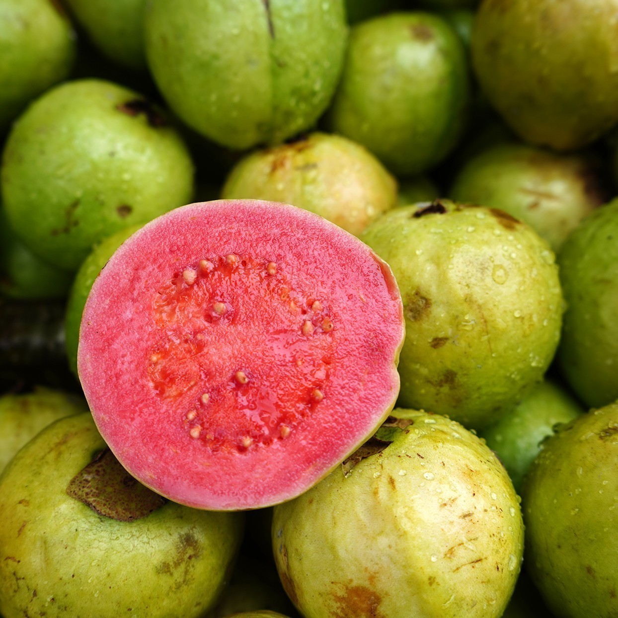 guava