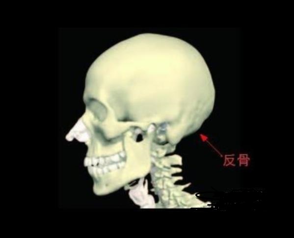 反演是什么意思