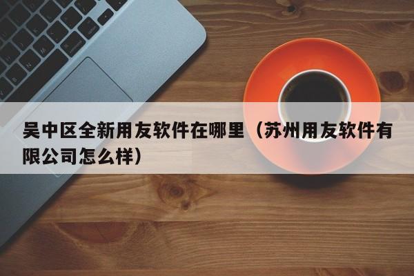 苏州用友软件