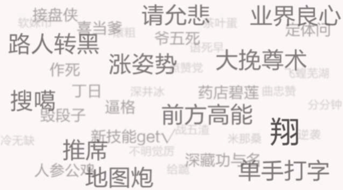 网络是什么意思