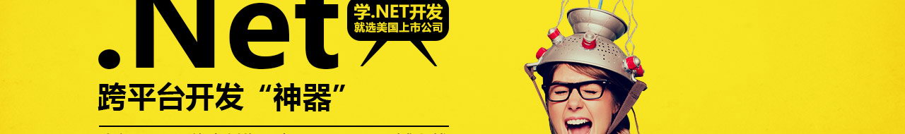 net什么意思