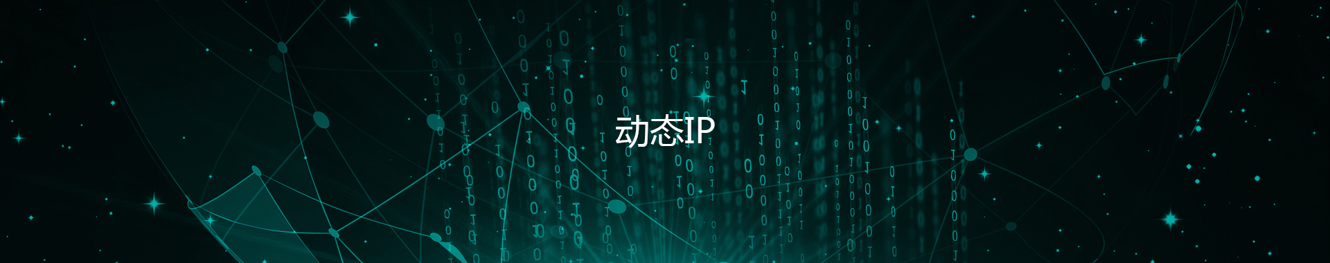 什么是动态ip