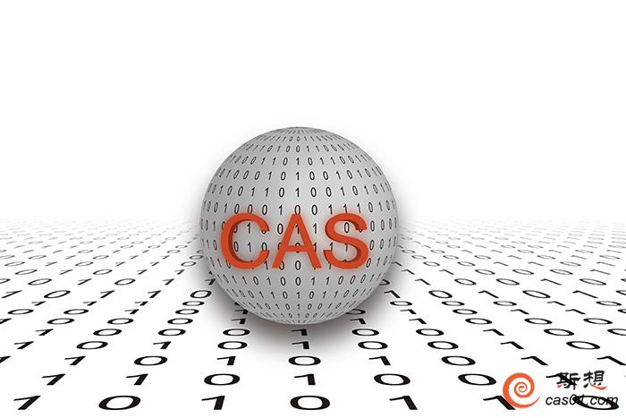 cas什么意思