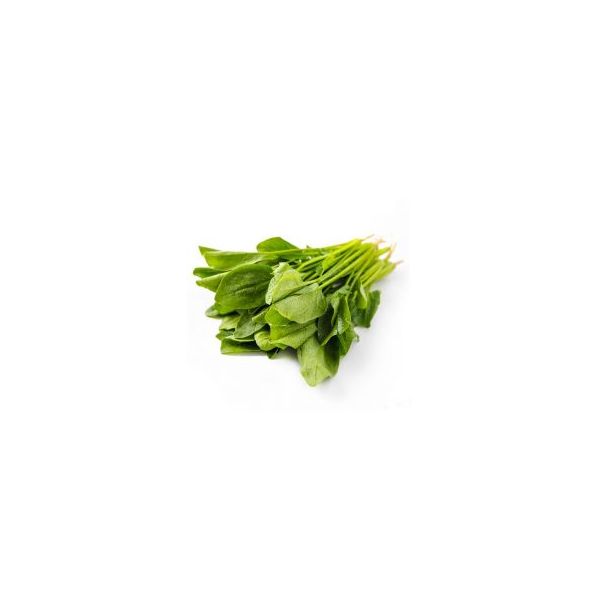 菠菜系统