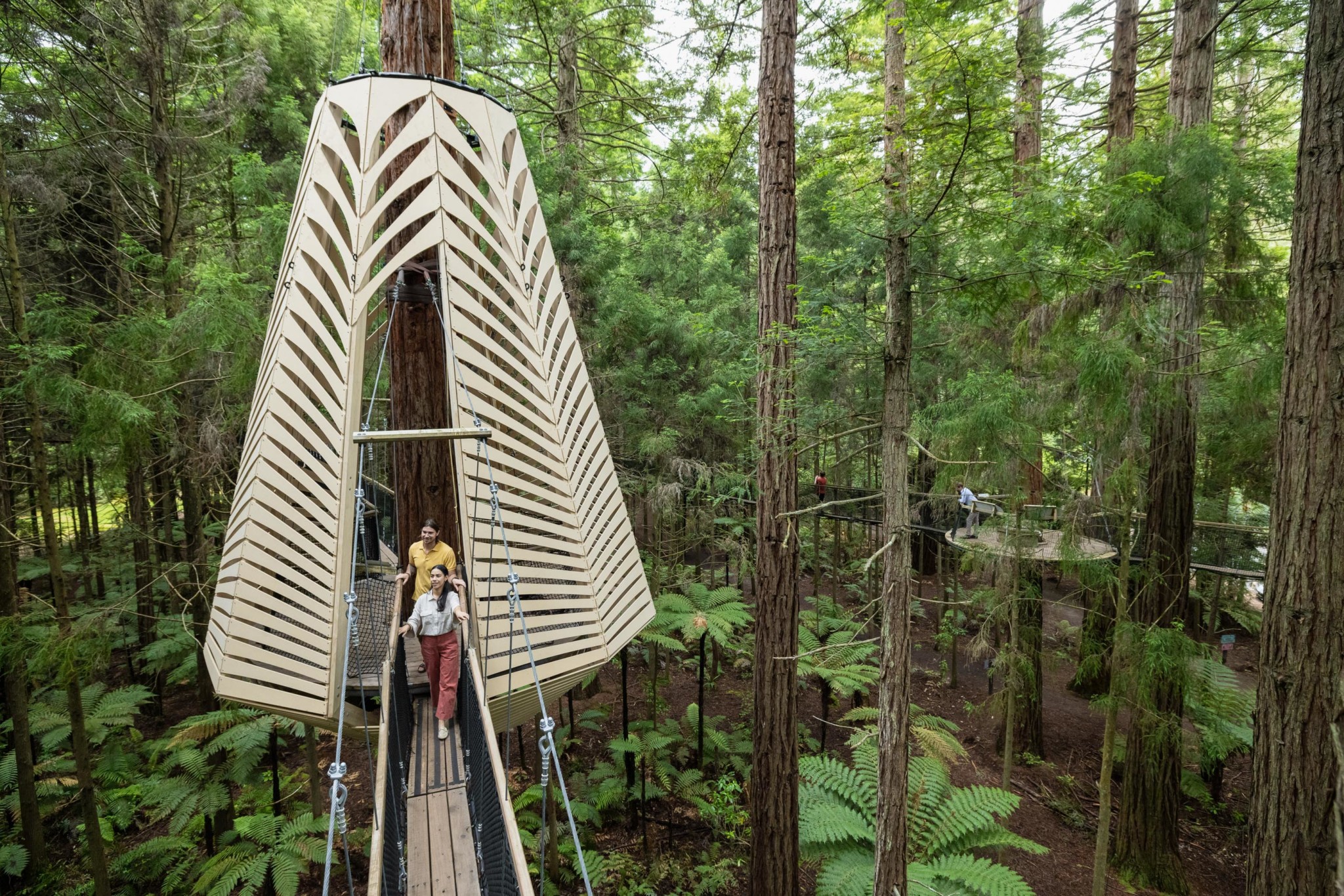 treewalk