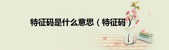 特征码是什么意思
