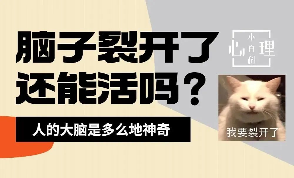 脑裂