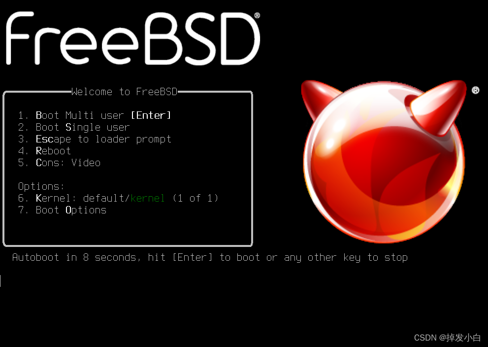 freebsd