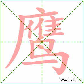 吞的笔顺