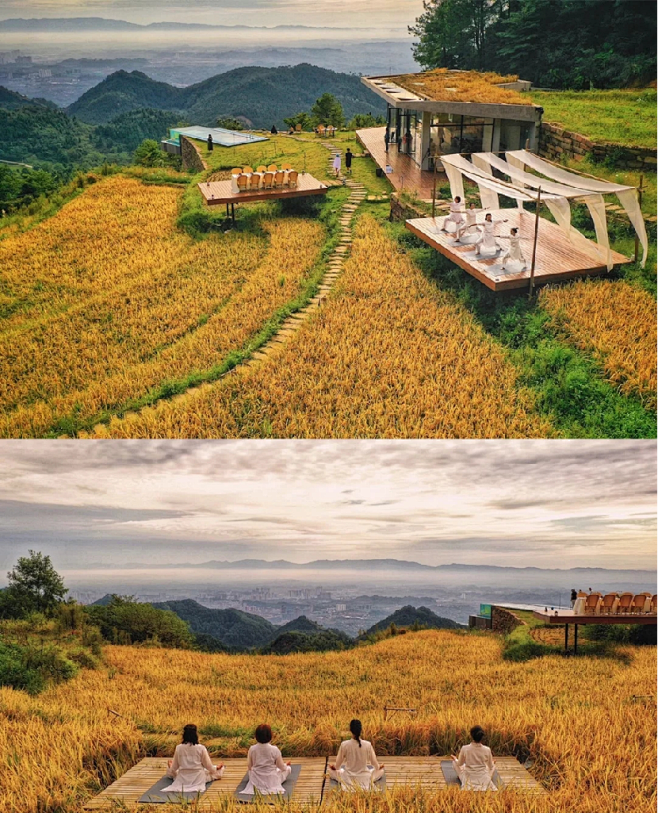 八载图片保护