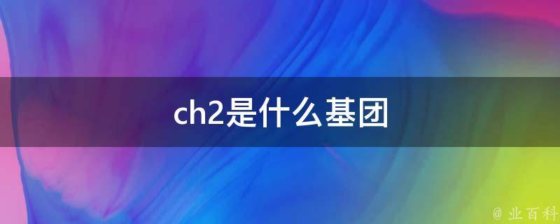 ch2是什么