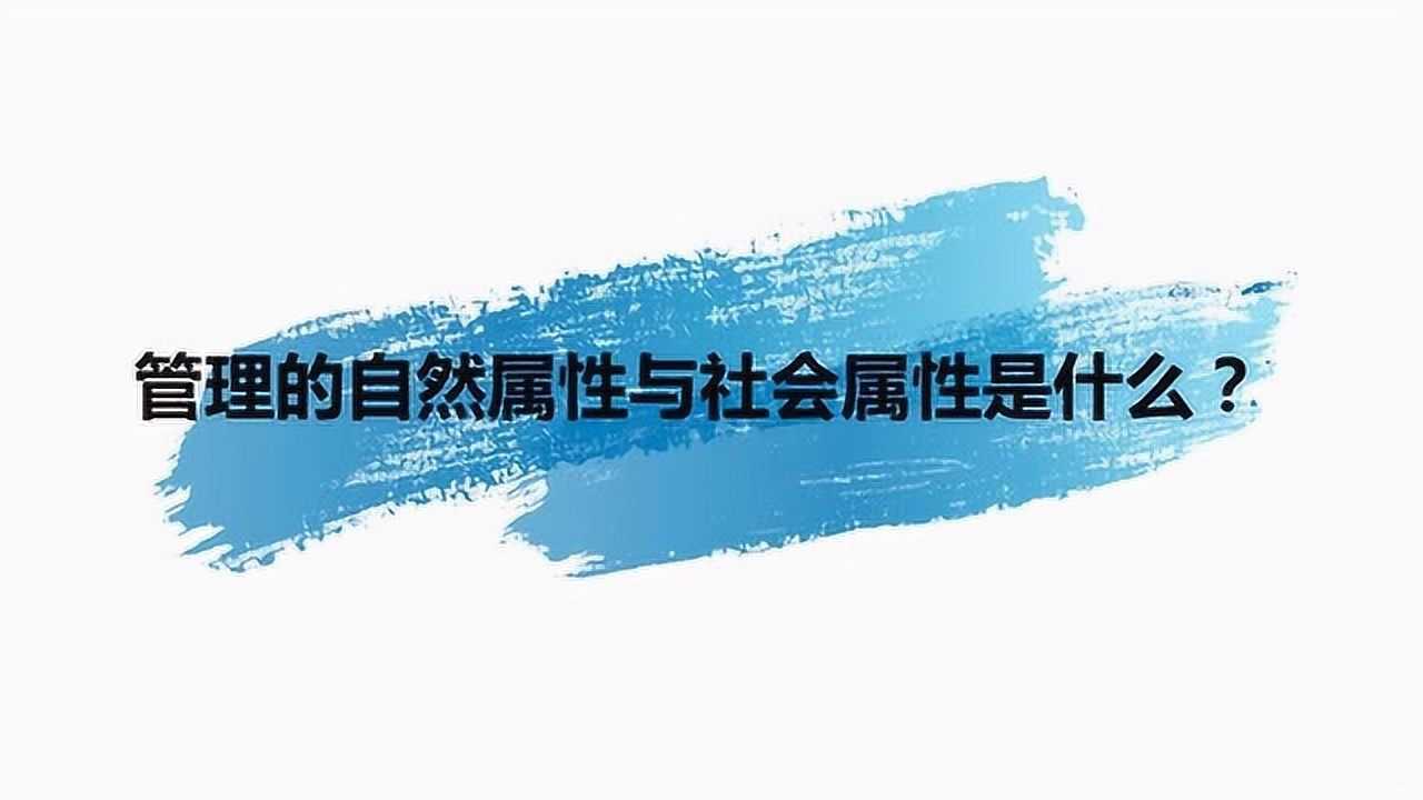 社会属性是什么