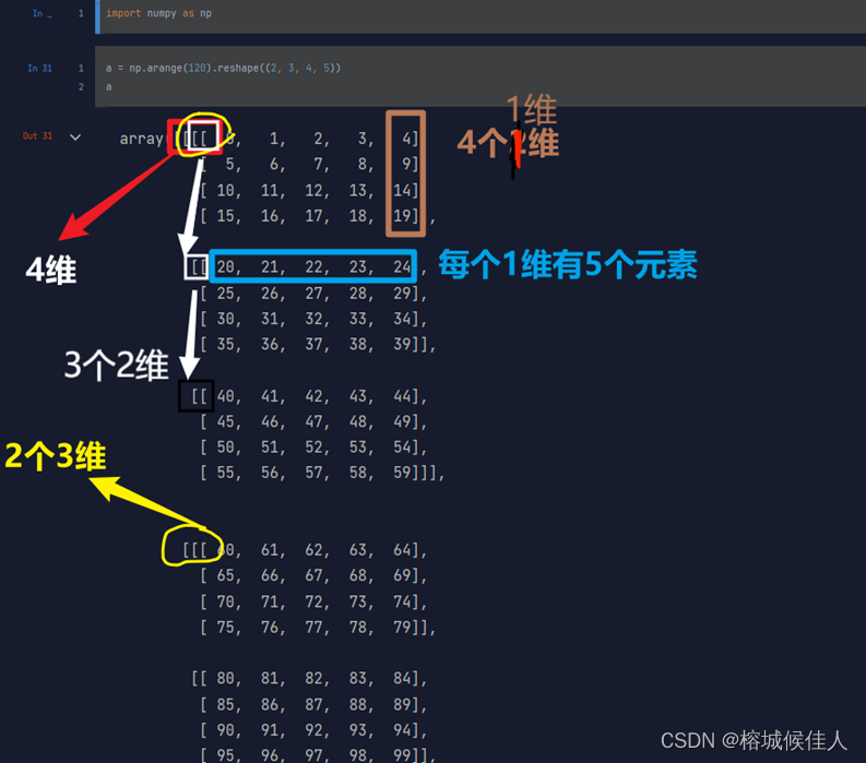 什么是数组