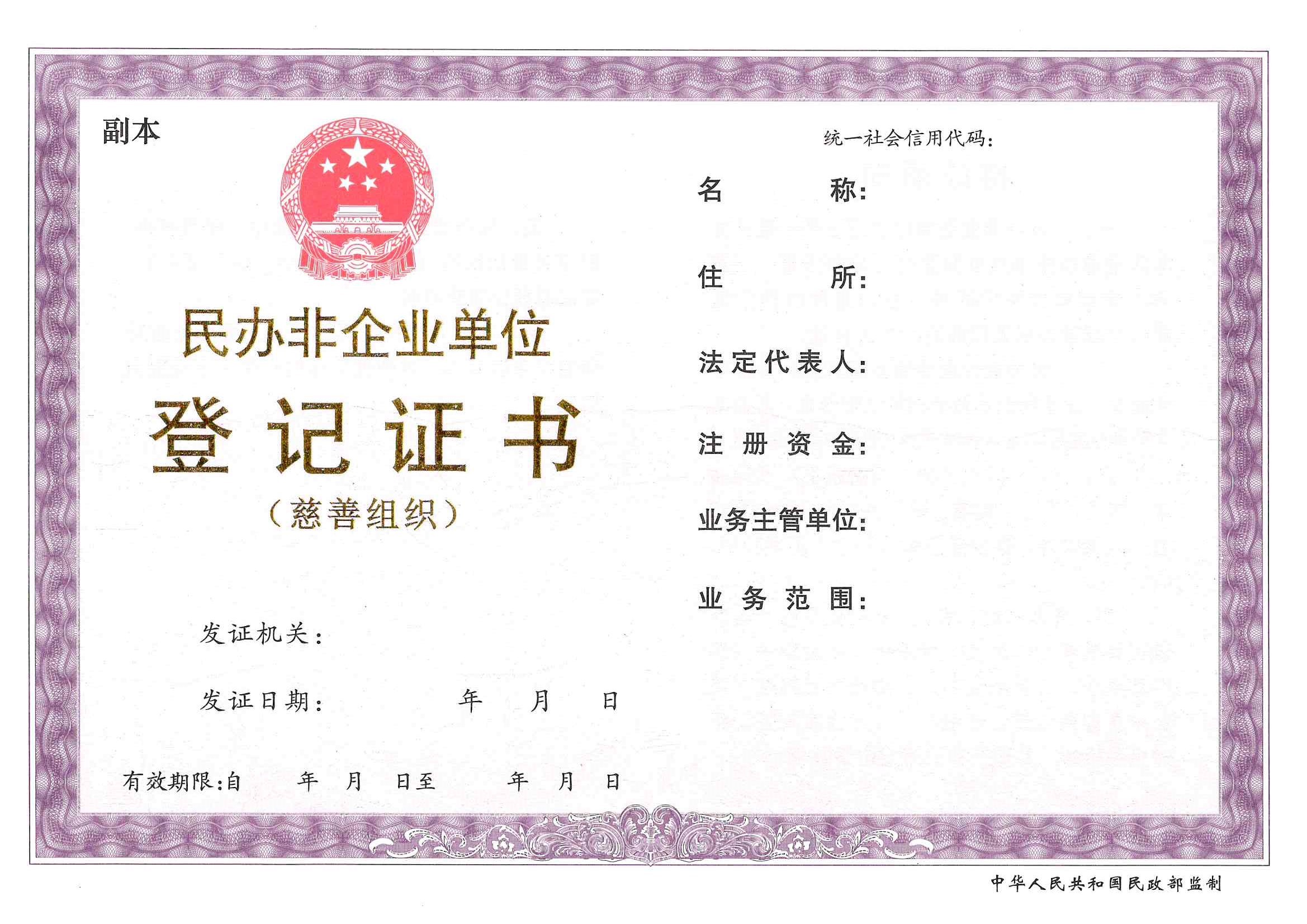 民非组织