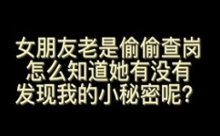 查岗是什么意思
