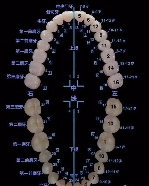 推荐位