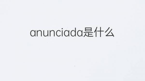 宣告的意思