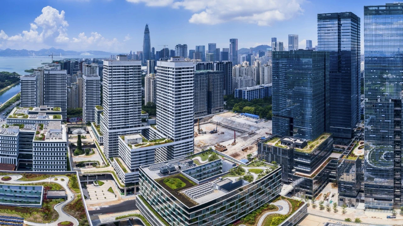 深圳优化公司