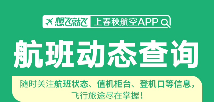 航班状态