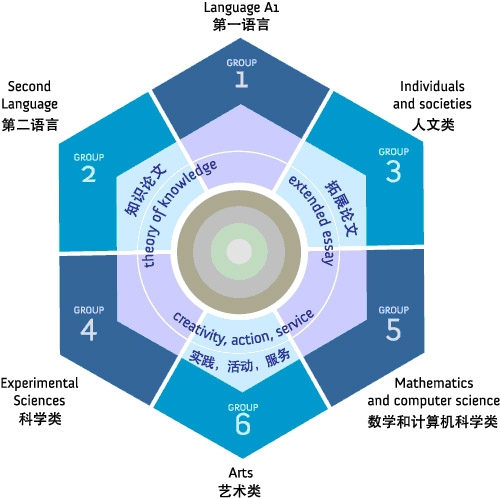 ib网络