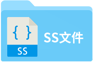 ss是什么接口