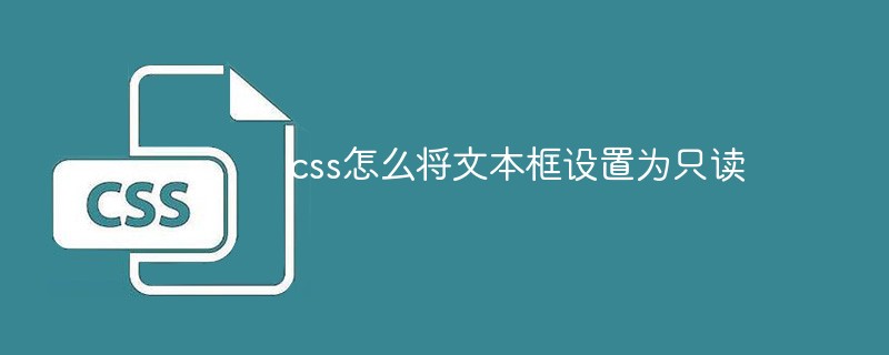 文本框只读