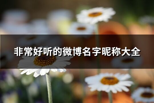 博客名字