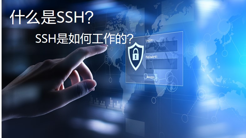 ssh是什么意思