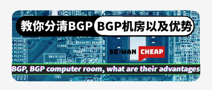 bgp是什么意思