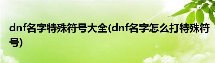 dnf特殊符号