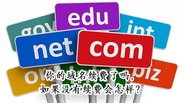 深圳域名