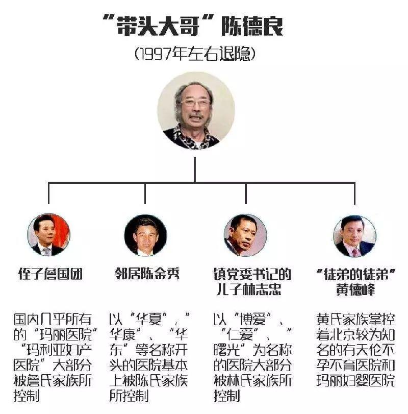 莆田系什么意思