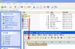 fprintf