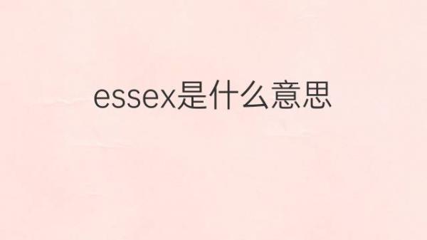 ues是什么意思