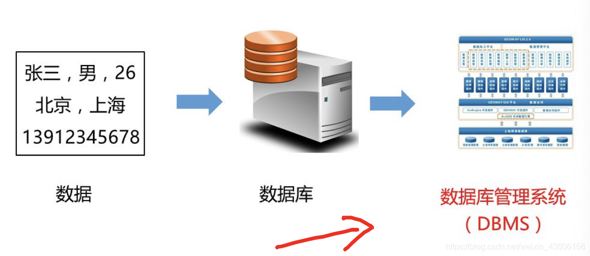 数据库系统的特点
