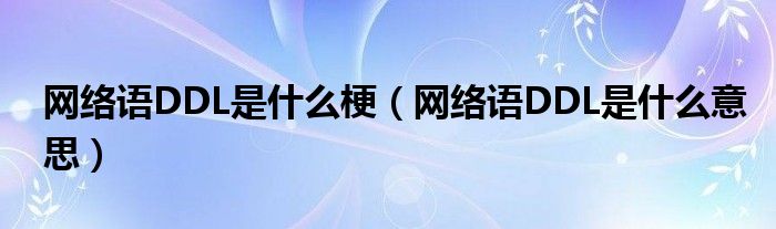 ddl是啥