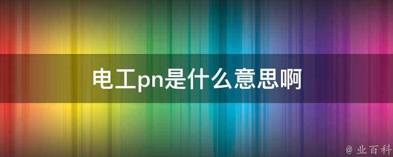 pn是什么意思啊