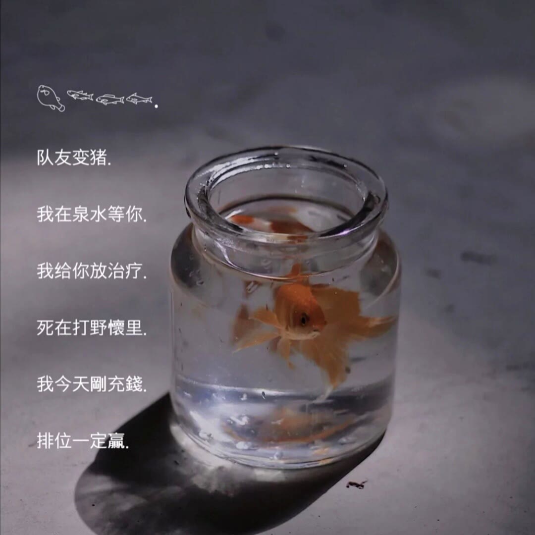 可爱的昵称