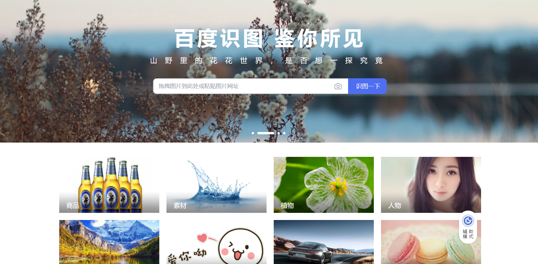 识图网站