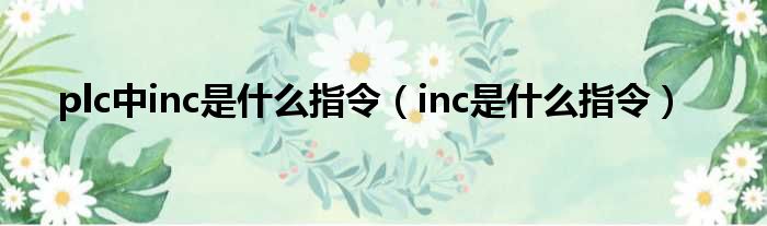 inc指令