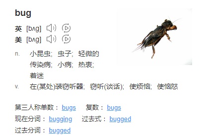 bug是什么意思