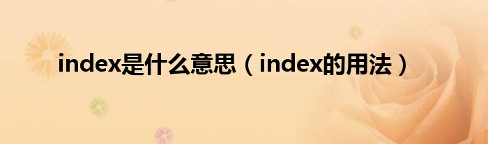 index是什么