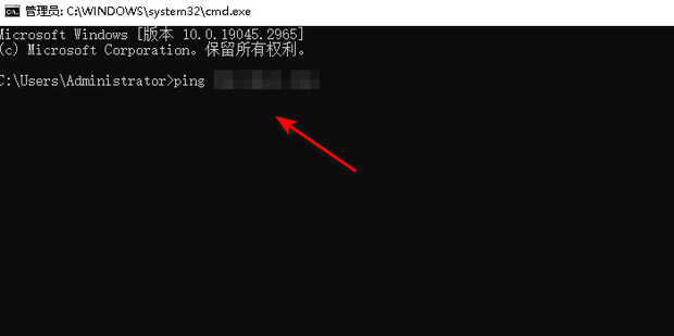 ping什么意思