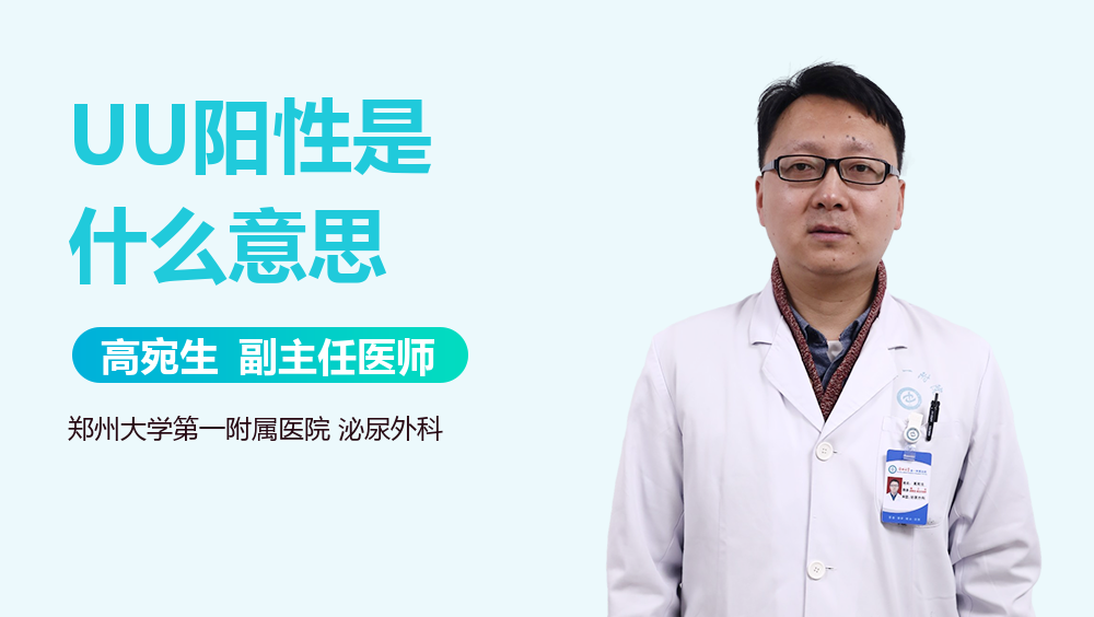 uu是什么意思