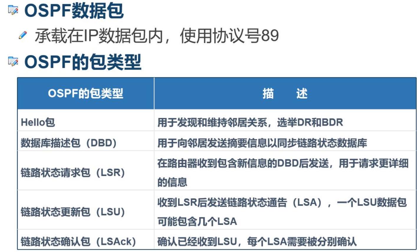 ospf协议号