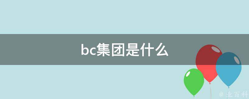 bcg是什么公司