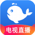 tv软件